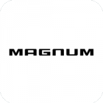 Двигатель Magnum